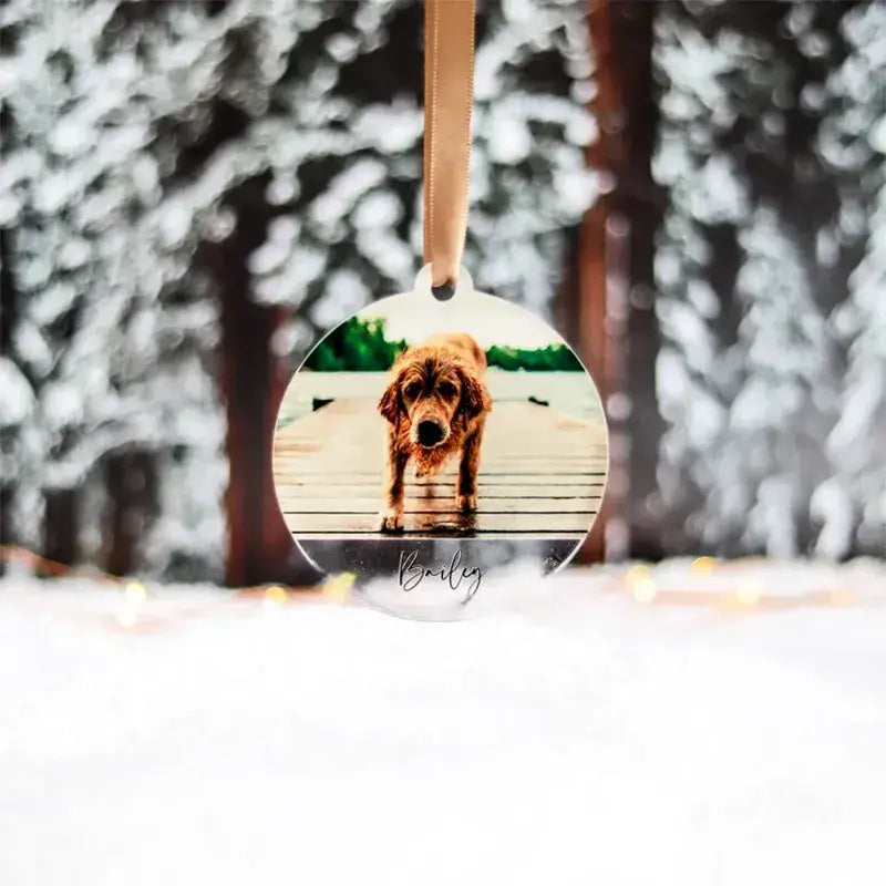 Cadre en acrylique avec ornement en bois durable représentant une photo de chien, parfait pour une exposition de souvenirs