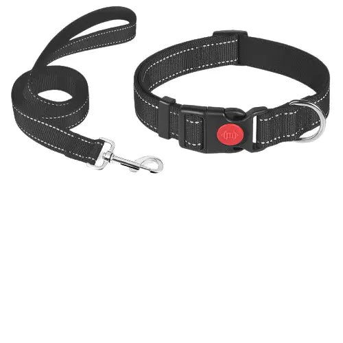 Collier pour Bouledogue Français