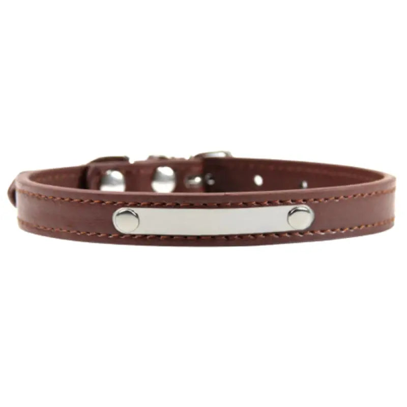 Collier pour chat gravé