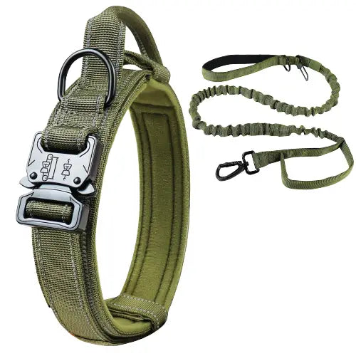 Collier pour Rottweiler