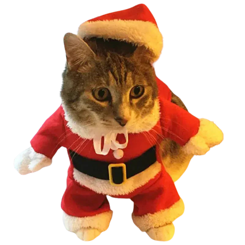 Costume de Noël pour un adorable Père Noël chat – petzeal