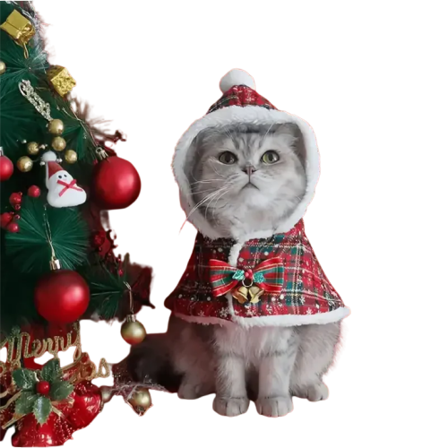 De Noël Pour Tenue Pour Chat Déguisement Chat Noël Style Et