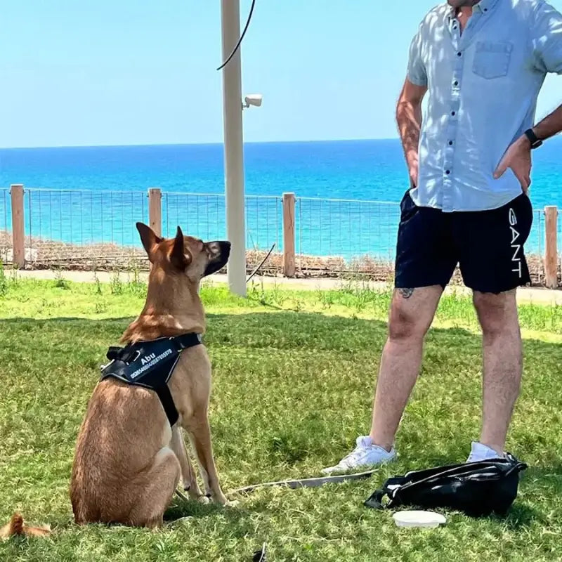Harnais pour chien personnalisé : Homme debout avec chien en laisse pour chien personnalisé
