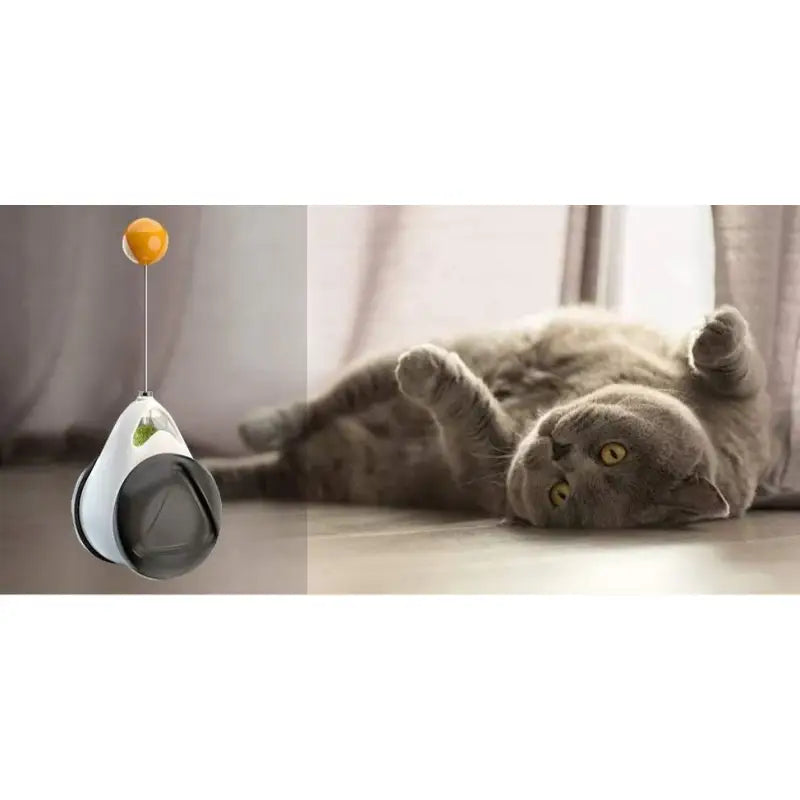Chat jouant avec un jouet interactif - Excellent divertissement pour votre chat