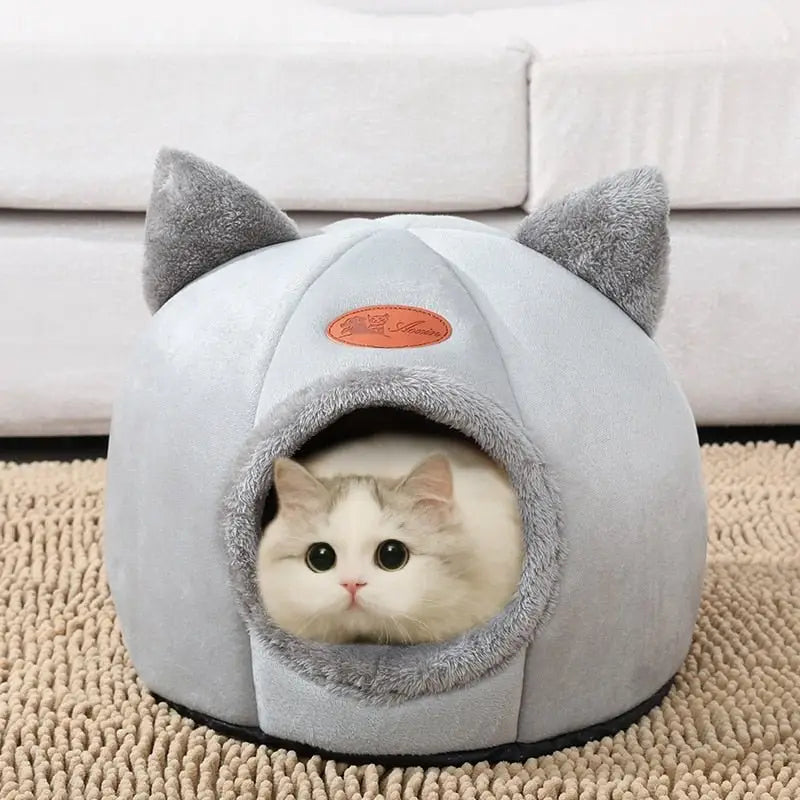Lit pour chat : Douceur et confort hivernal - Gros plan d’un chat dans un lit douillet sur un tapis