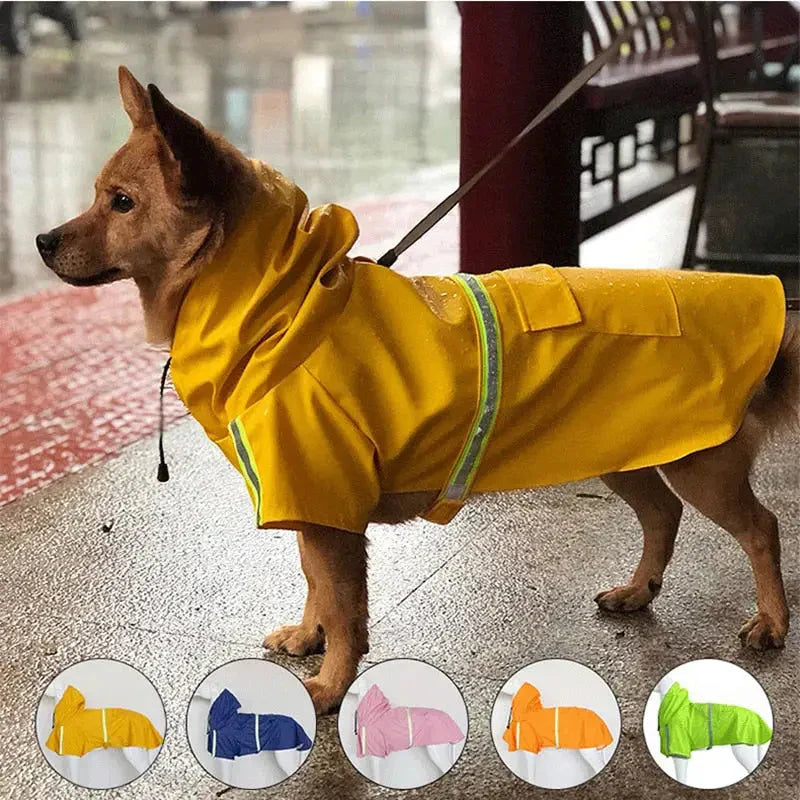 Imperméable chien sale