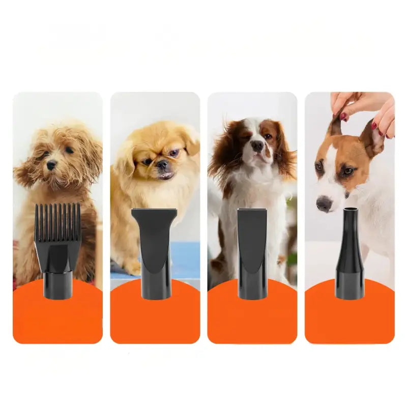 Pulseur pour Chien: L’Expertise votre Compagnon