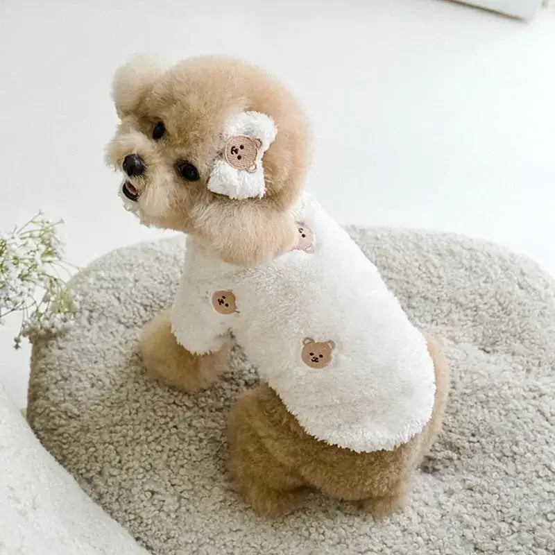 Adorable petit chien en pull polaire pour chiens assis sur un tapis avec un animal en peluche