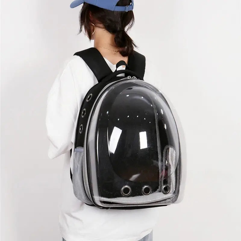 Une femme élégante avec un sac à dos noir dans un sac à dos transparent pour chat, pour un voyage unique avec un animal de compagnie