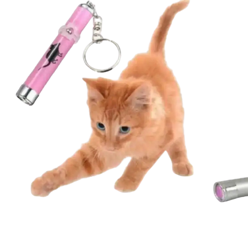 Pointeur Laser Avec Souris Lumineuse: Le Jeu Parfait Pour Votre Chat! Rose Transparent Background