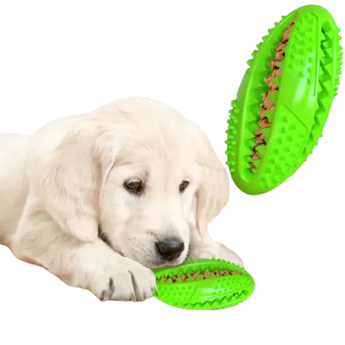 Chien s’amusant avec un jeu éducatif en caoutchouc naturel, avec un jouet en forme de balle en arrière-plan Transparent Background