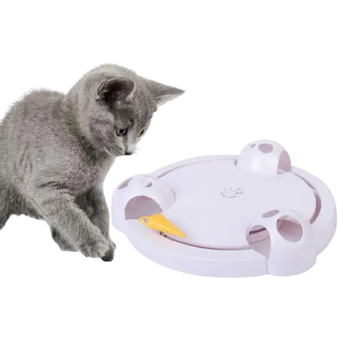 Jouet Interactif Attrape Souris: Divertissement Pour Votre Chat - Blanc Transparent Background