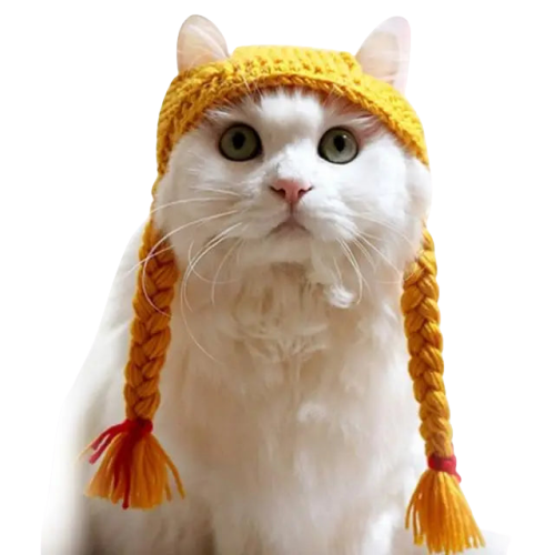 Bonnet pour Chat Tresses au Crochet Transparent Background