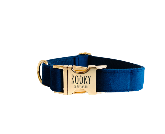 Collier Chien Personnalisé Velours Bleu Marine Transparent Background