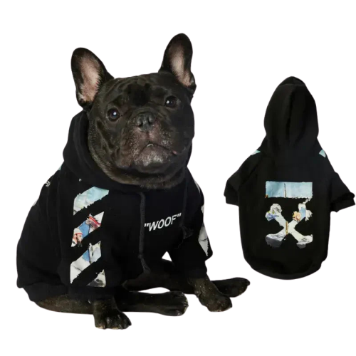 Chien Araff en sweat à capuche et un autre chien en pull pour chien : Chaud et élégant pour les animaux de compagnie Transparent Background