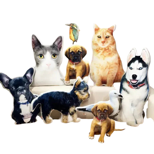 Un groupe confortable de chats et de chiens sur un canapé avec le Comfort Souvenir Cushion - élégante décoration Transparent Background