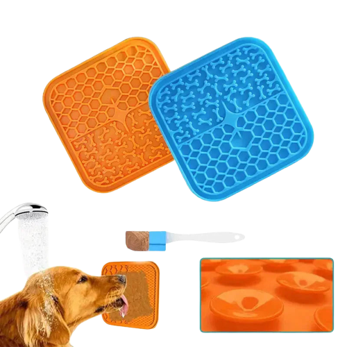 Chien utilisant un tapis pour se nourrir lentement, buvant de l’eau à partir d’une bouteille en plastique Transparent Background