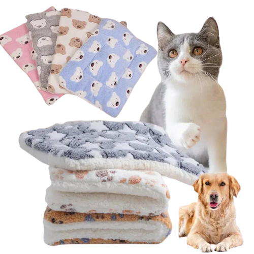 Chat et chien sur une couverture en flanelle douce pour un confort et une chaleur optimaux Transparent Background