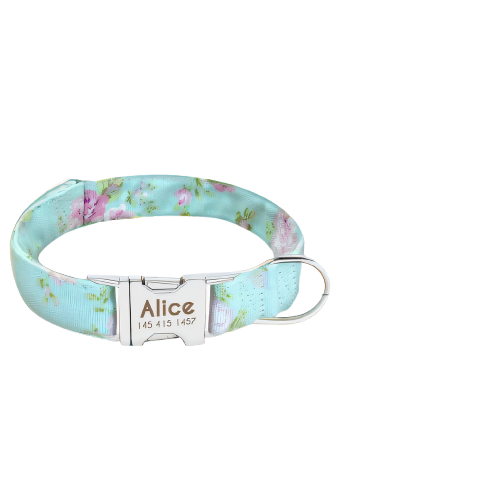 Collier Chien Personnalisable Transparent Background