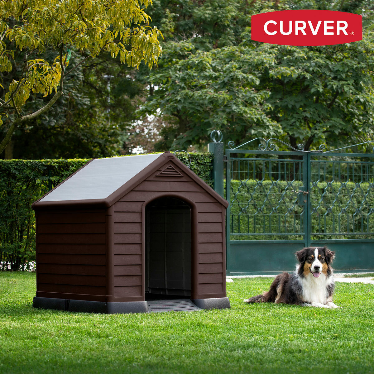 Niche Chien Plastique XXL - Résistante aux Intempéries