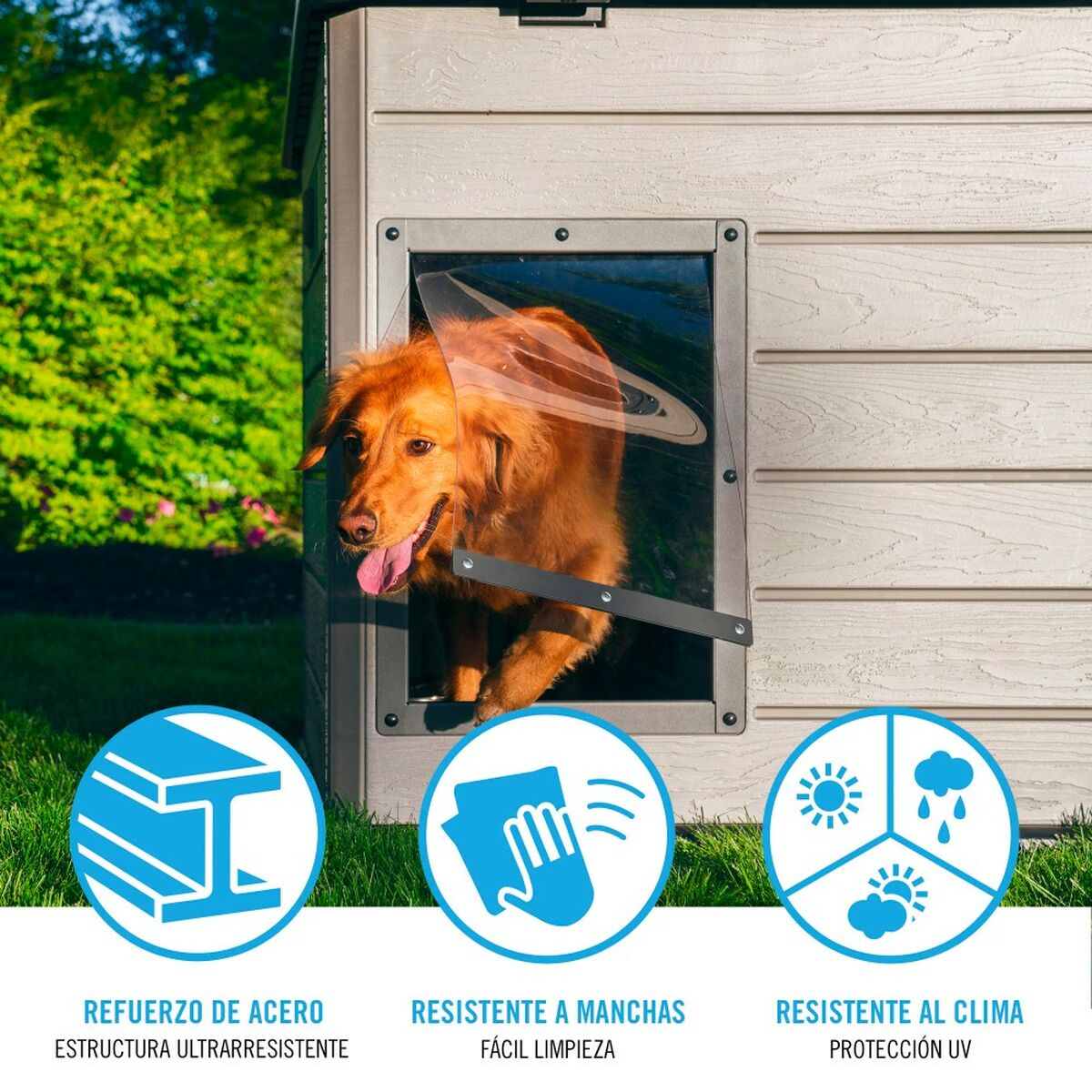 Niche Chien Polyéthylène XXL - Résiste au Froid