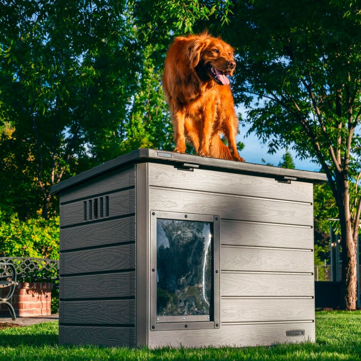 Niche Chien Polyéthylène XXL - Résiste au Froid