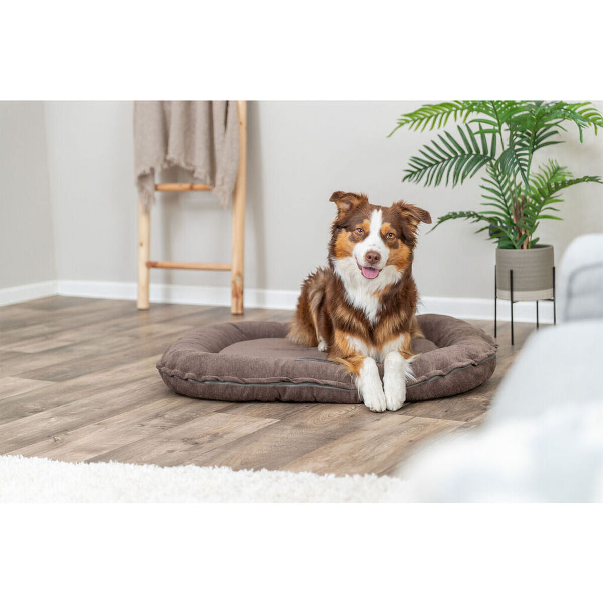 Coussin Chien Orthopédique Marron - Confort Articulations