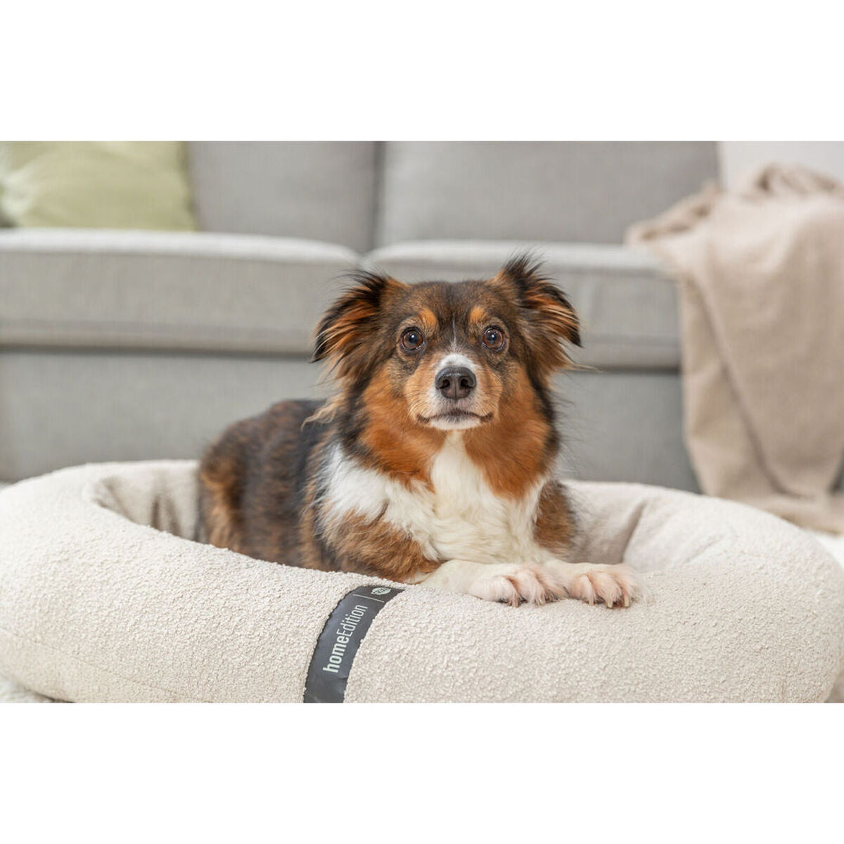 Panier Chien Design Crème - Confort et Style au Quotidien