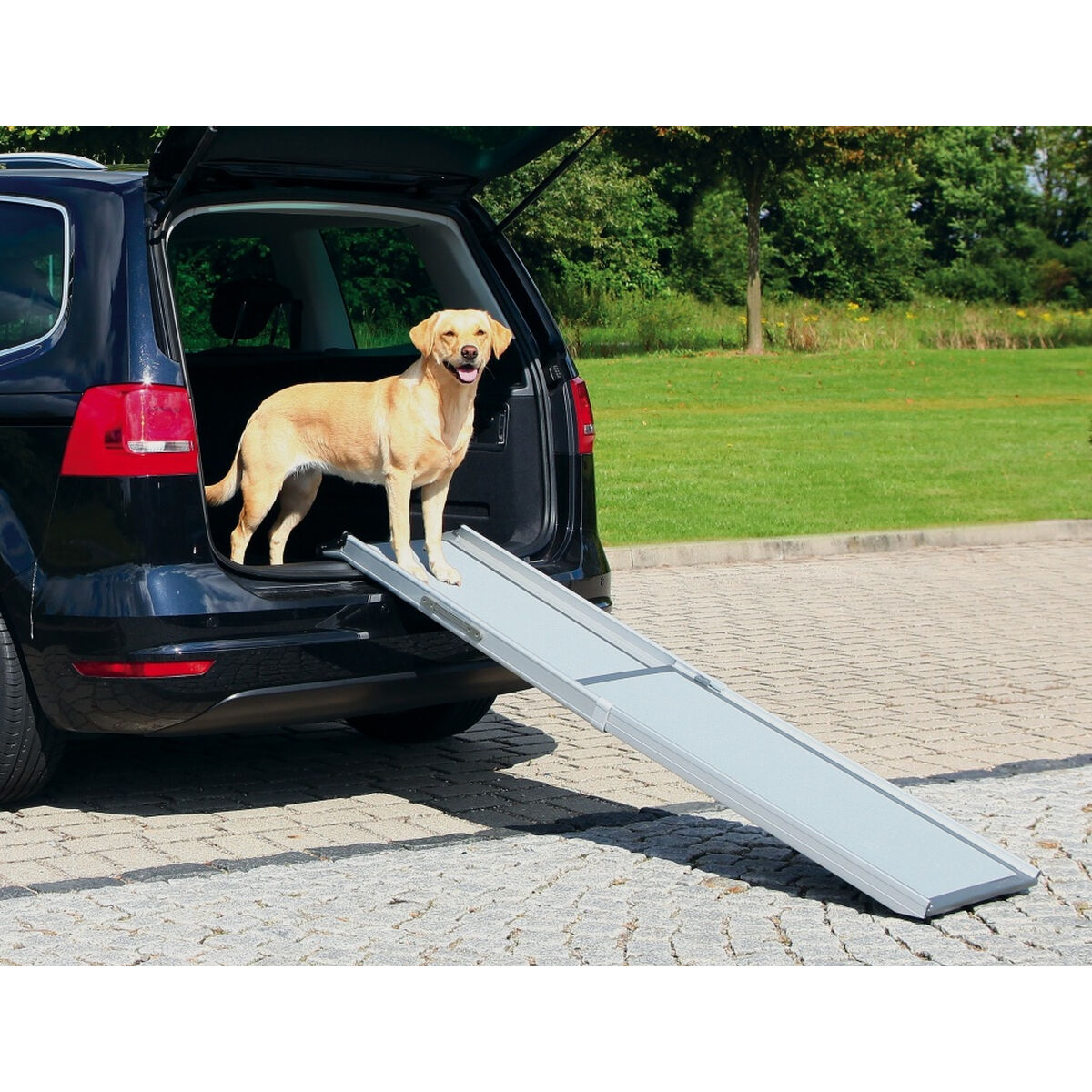 Rampe Voiture Chien Télescopique - Jusqu'à 120 kg