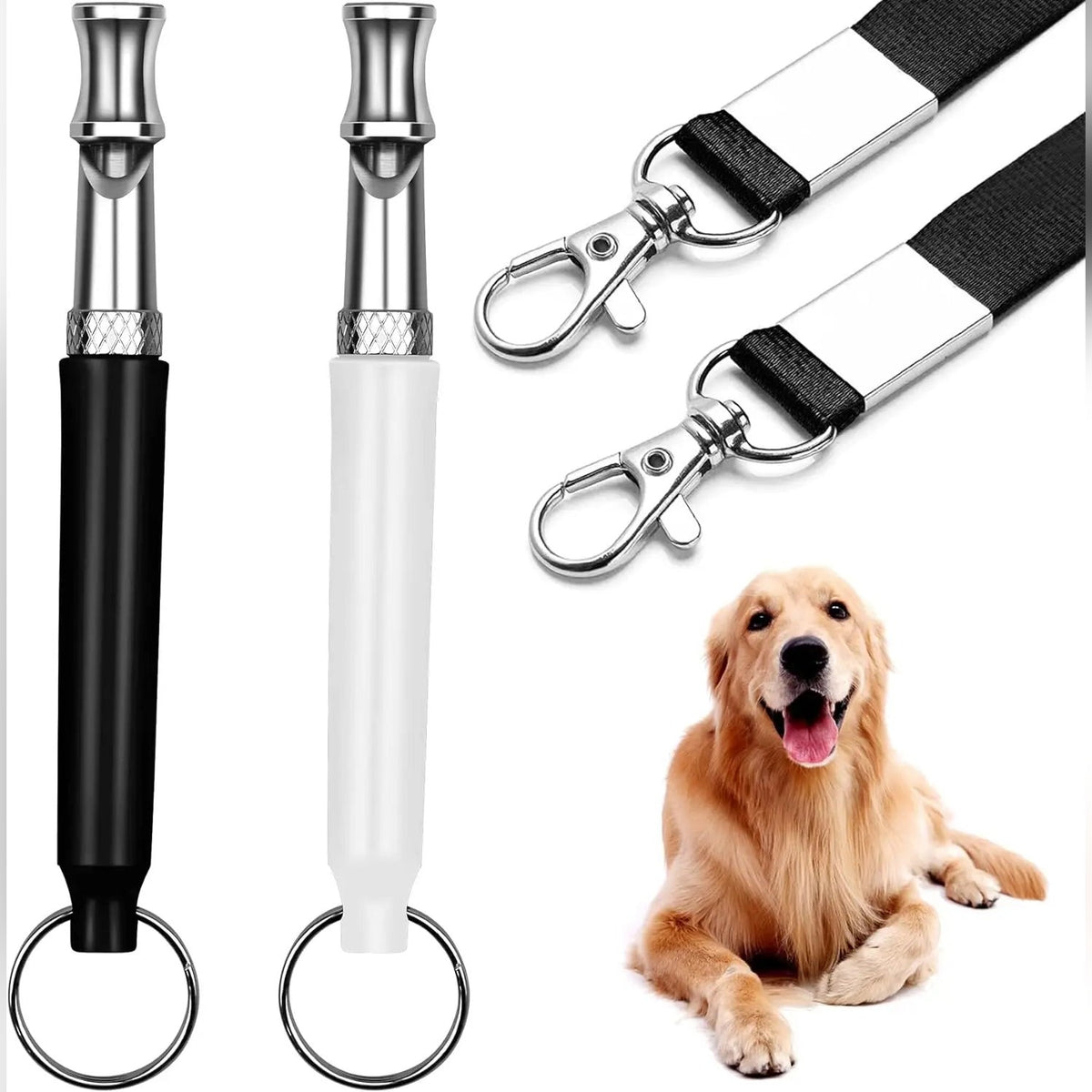 Sifflet Ultrason pour Chien - Anti-aboiement et Rappel