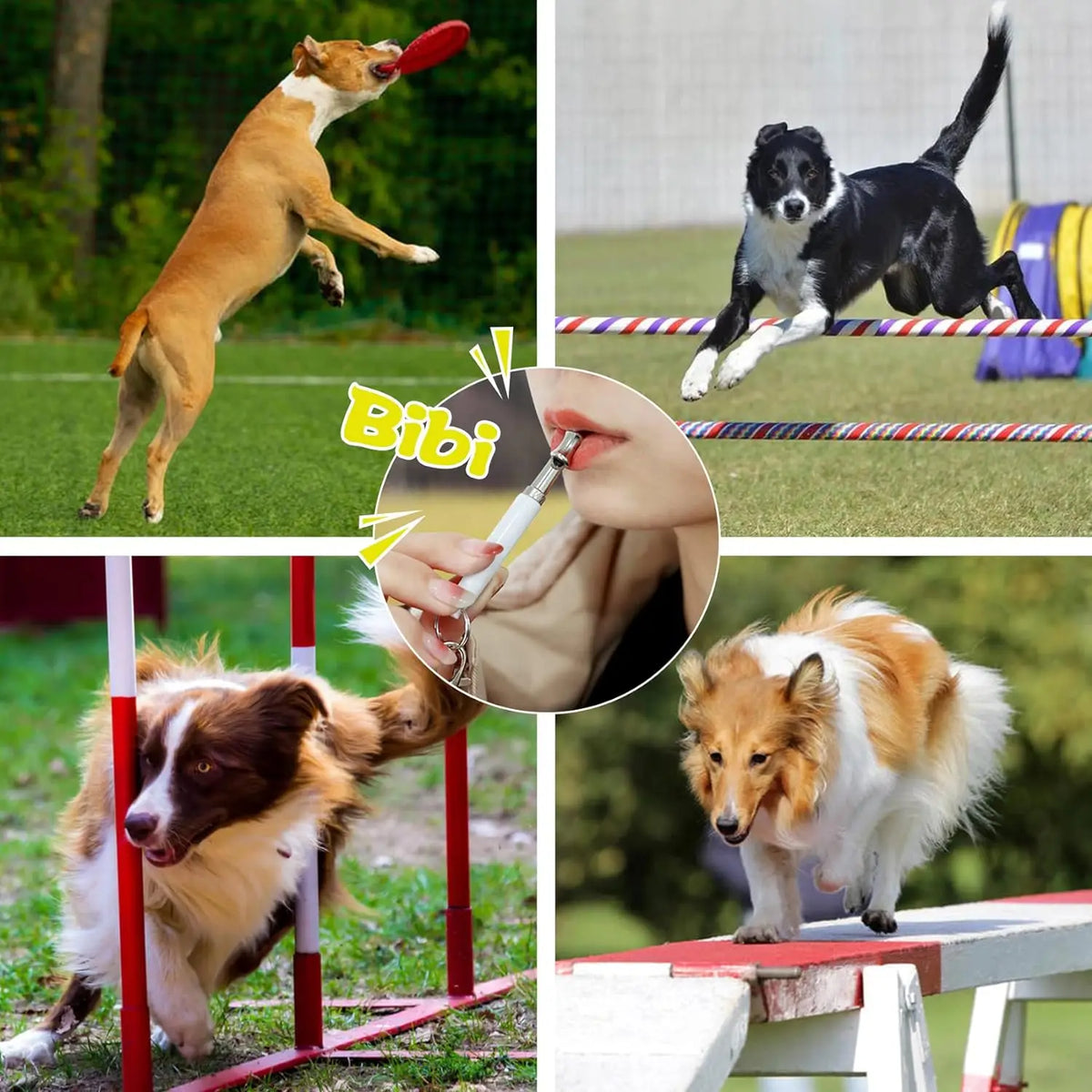 Sifflet Ultrason pour Chien - Anti-aboiement et Rappel