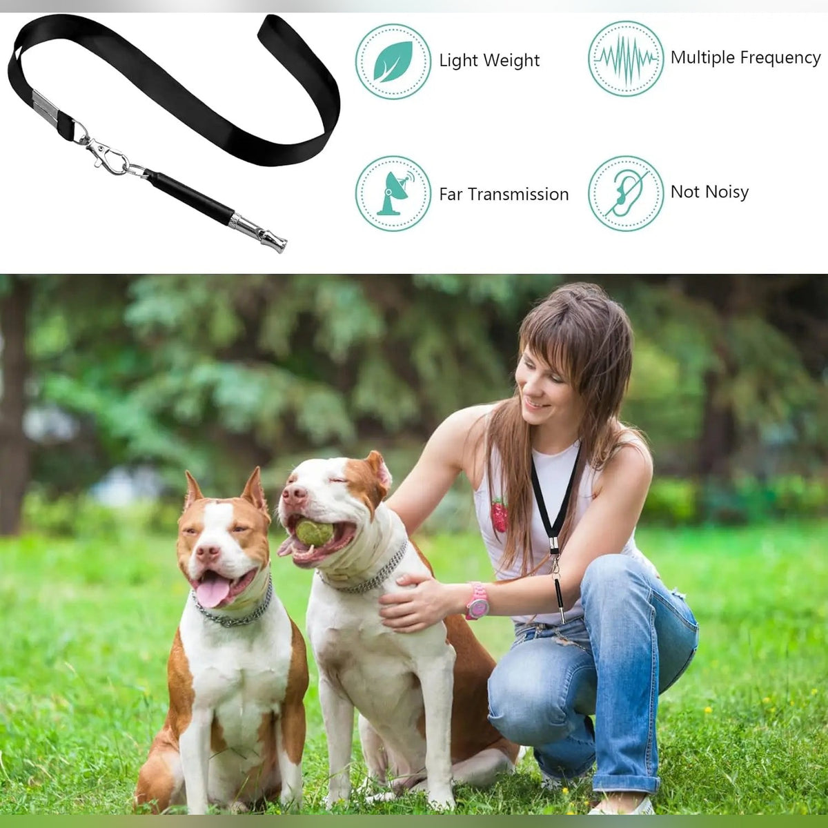 Sifflet Ultrason pour Chien - Anti-aboiement et Rappel