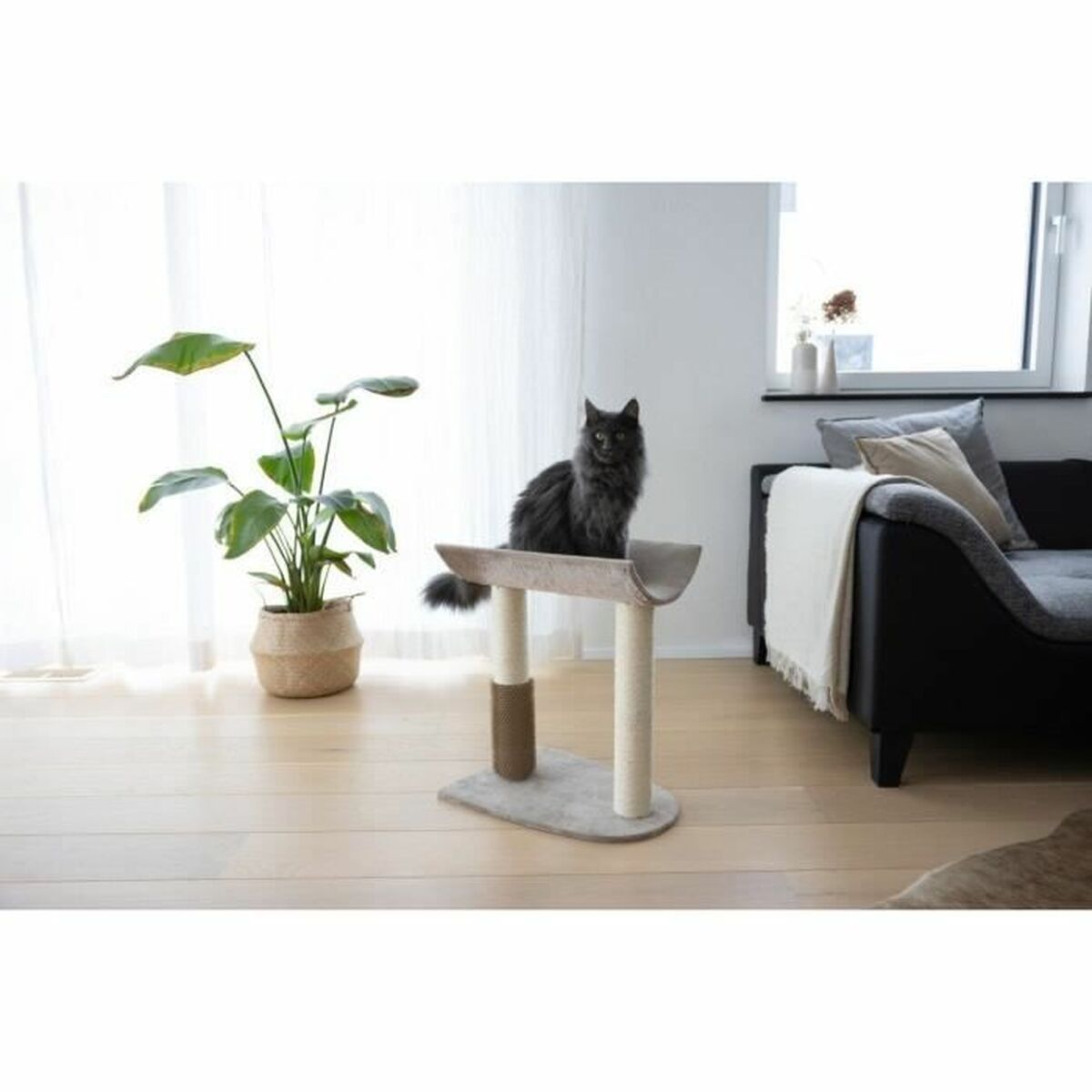 Arbre à Chat avec Brosse – vue 3