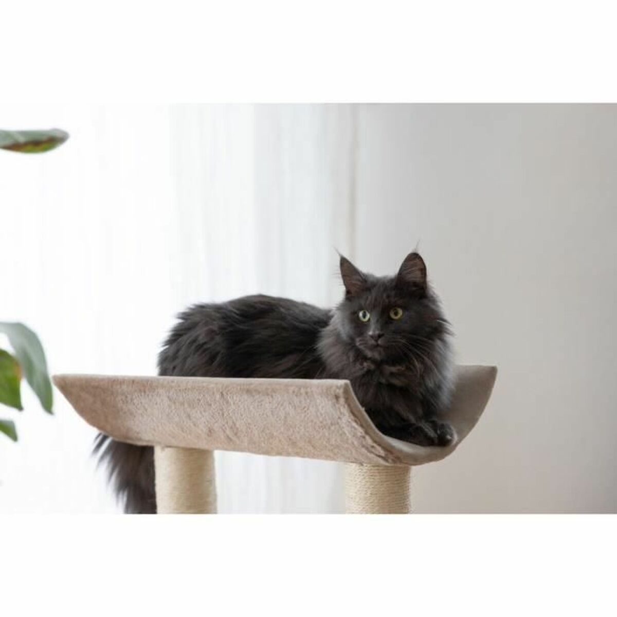 Arbre à Chat avec Brosse – vue 5