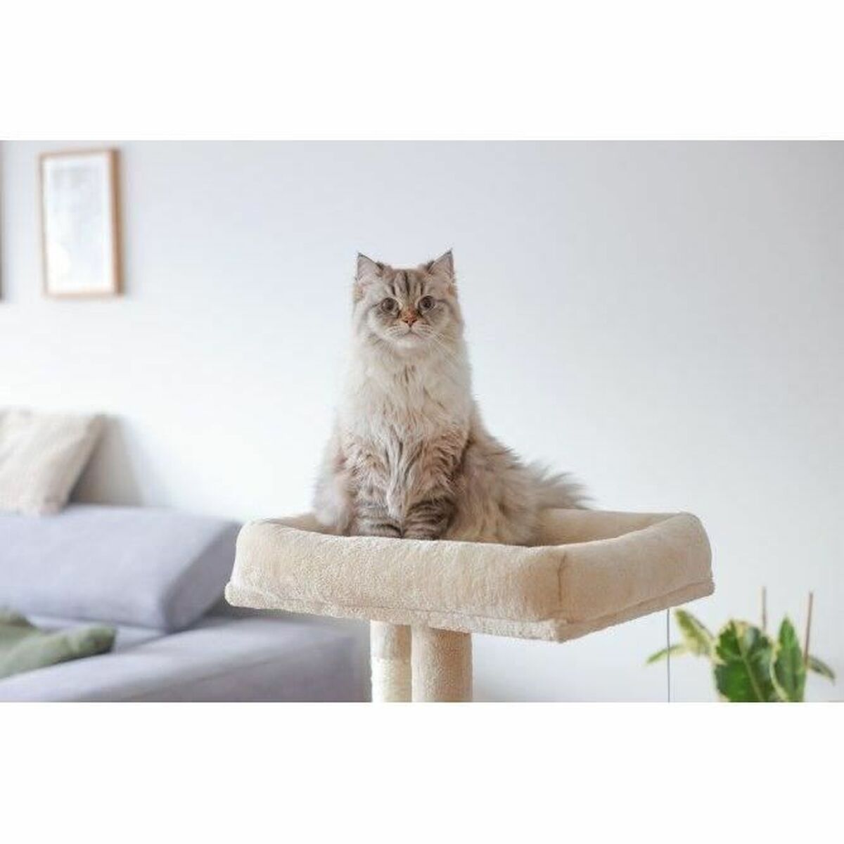 Arbre à Chat Beige – vue 5