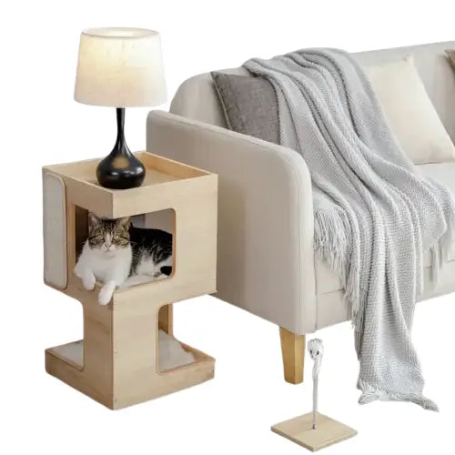 Chat assis dans le lit douillet de Feline Elegance™ arbre à chat Transparent Background