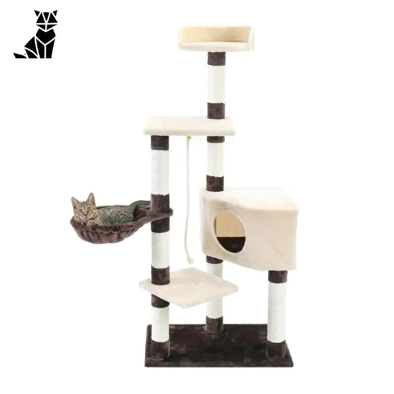 Arbre à chat grimpant avec plateforme d’escalade pour chat pour un jeu vertical