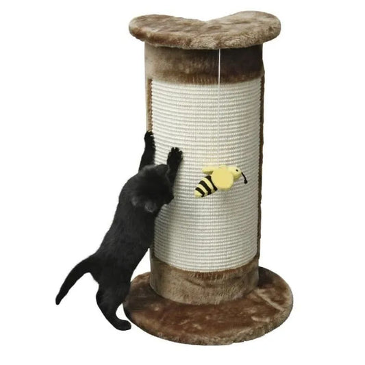 Arbre à Chat Marron – vue 1