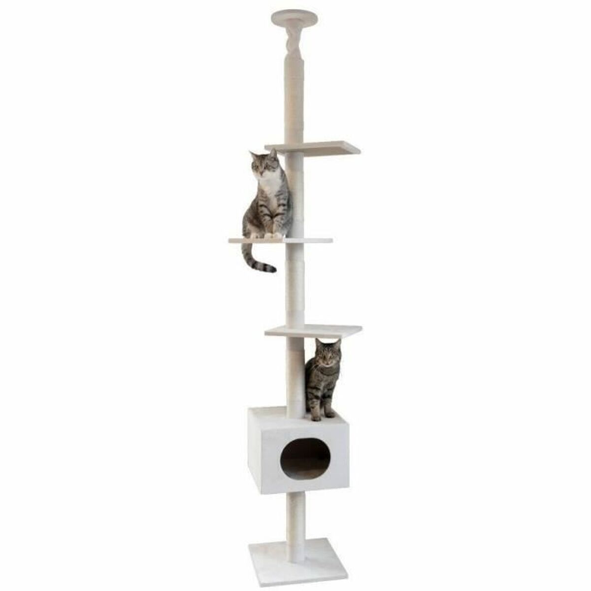 Arbre à Chat Plafond Blanc – vue 2