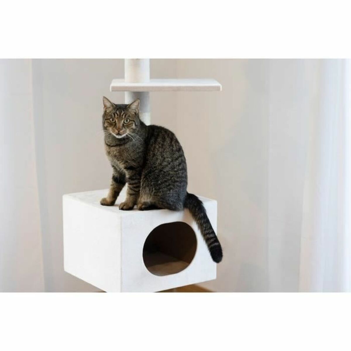 Arbre à Chat Plafond Blanc – vue 5