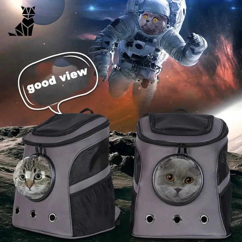 Chat en combinaison spatiale avec sac à dos AstroBag pour aventures à l’extérieur