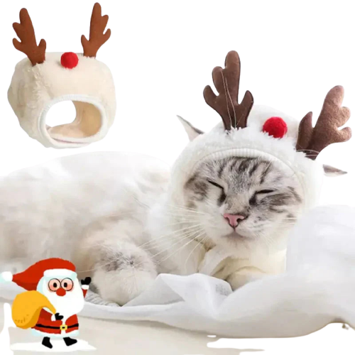 Chat se prélassant confortablement sur un drap blanc festif du Festive Set for Cats Transparent Background