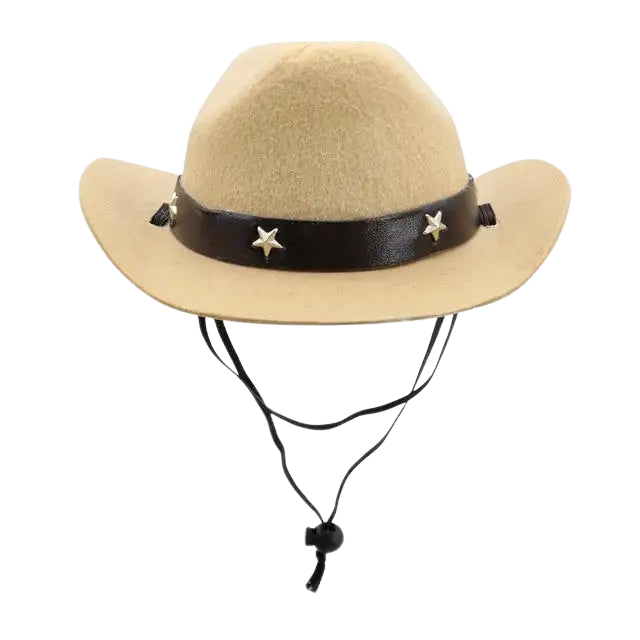 Chapeau pour Chien Cowboy Texan Transparent Background