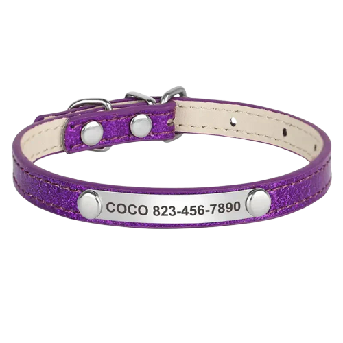 Collier pour chien en cuir violet résistant à l’usure avec pièce métallique argentée Transparent Background