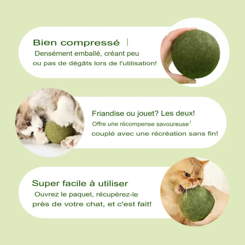 Balle Herbe à Chat Géante Friandise Naturelle