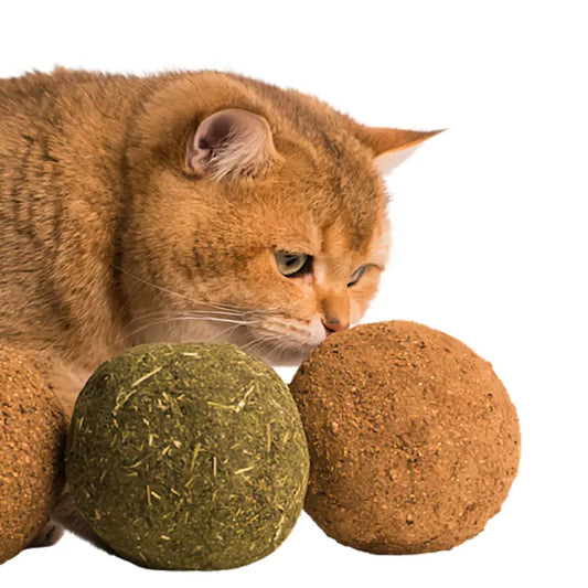 Balle Herbe à Chat Géante Friandise Naturelle