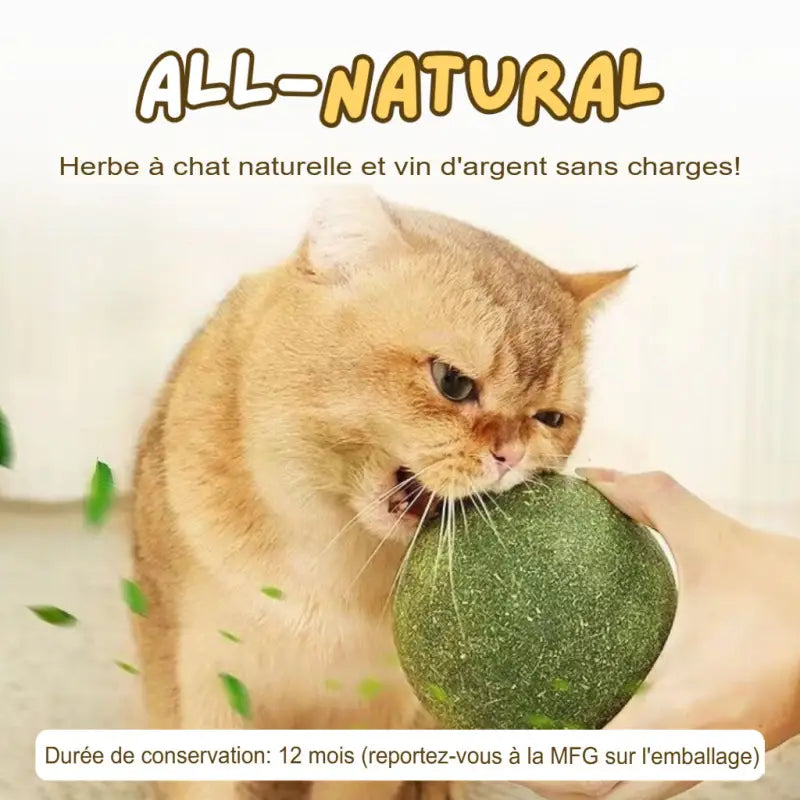 Balle Herbe à Chat Géante Friandise Naturelle