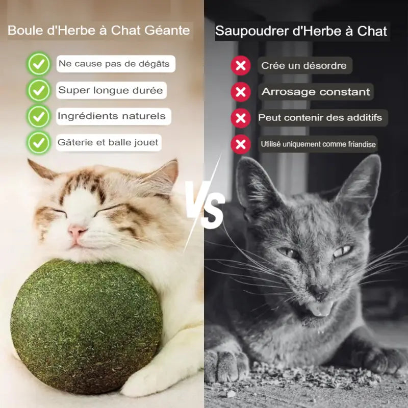 Balle Herbe à Chat Géante Friandise Naturelle