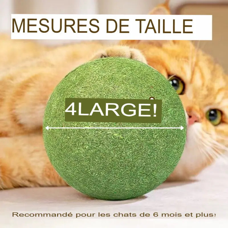 Balle Herbe à Chat Géante Friandise Naturelle