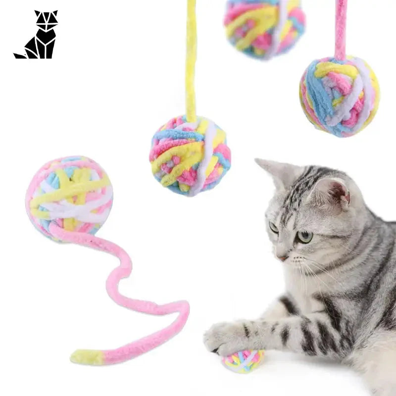 Balle interactive pour chat : Jouets à mâcher et à taquiner - Chat jouant avec une balle interactive